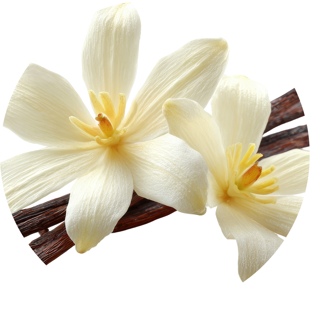 Vanilla