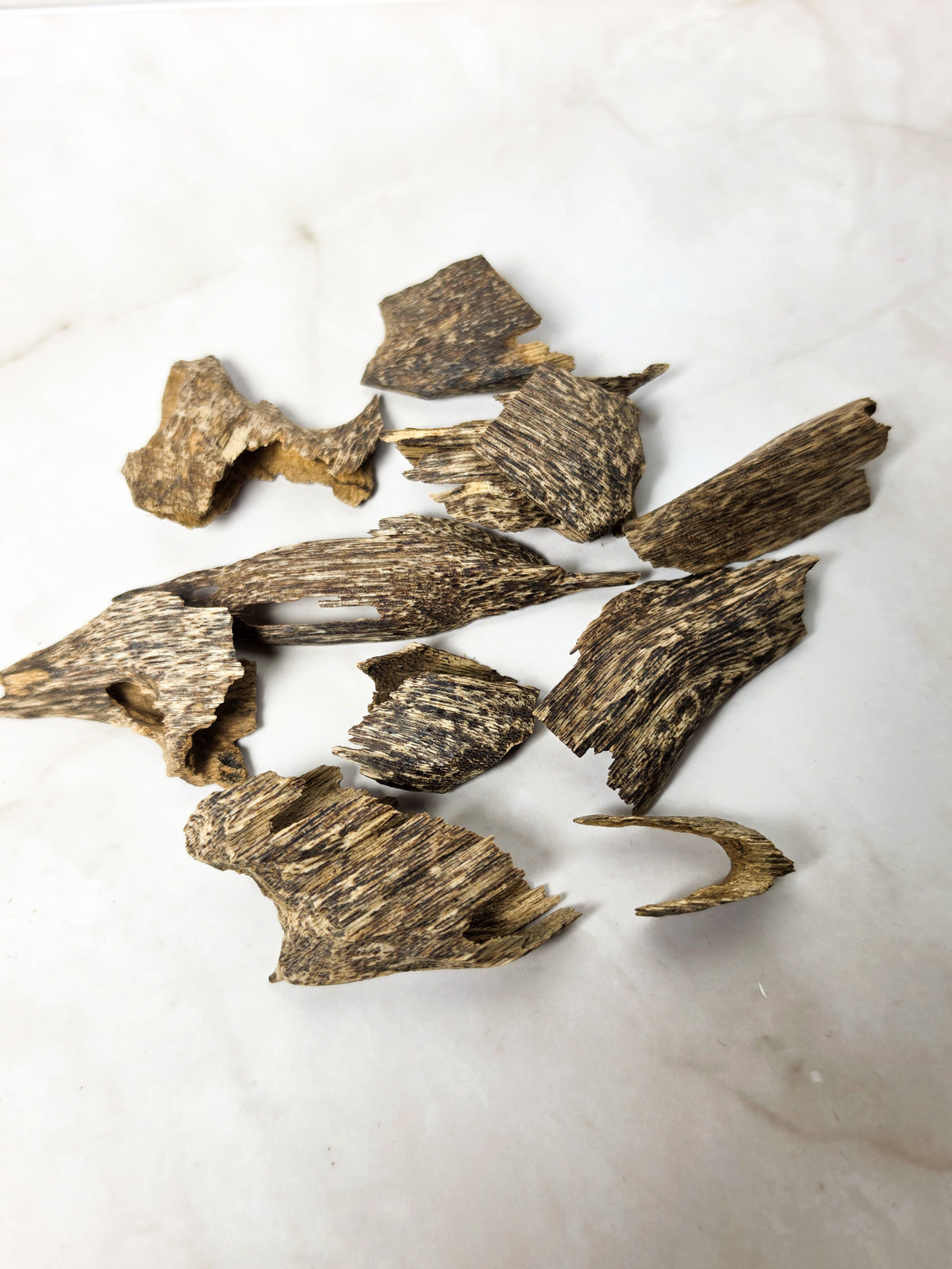 Agarwood (Oud Chips)