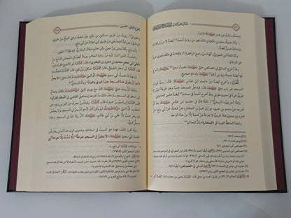 النكت على كتاب ابن الصلاح ونكت العراقي - للحافظ ابن حجر العسقلاني