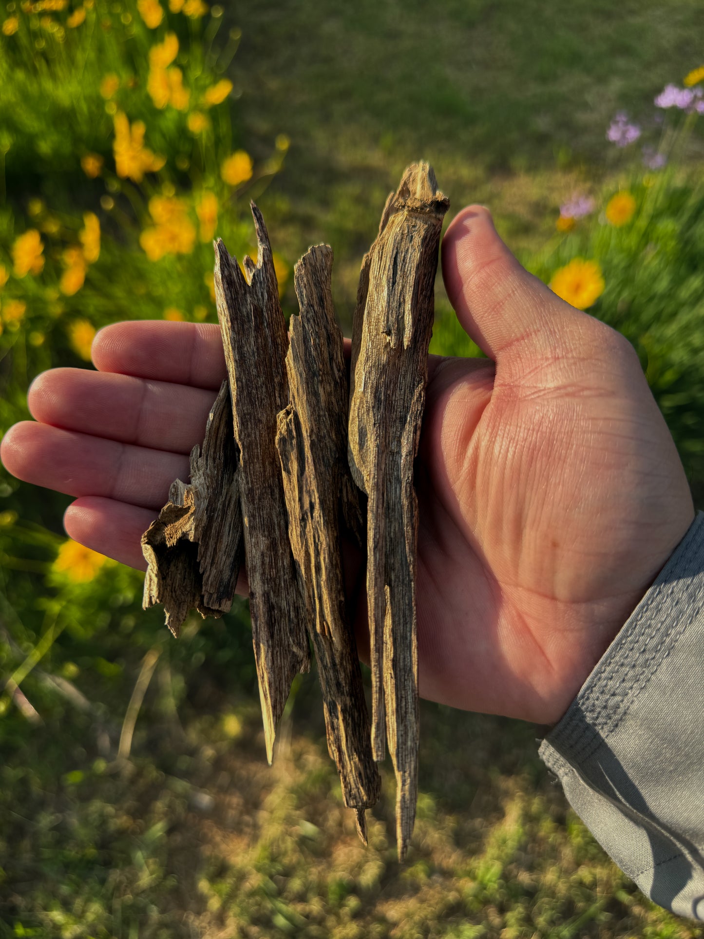 JURA AGARWOOD CHIPS AA( INDIA ) - 10 Grams