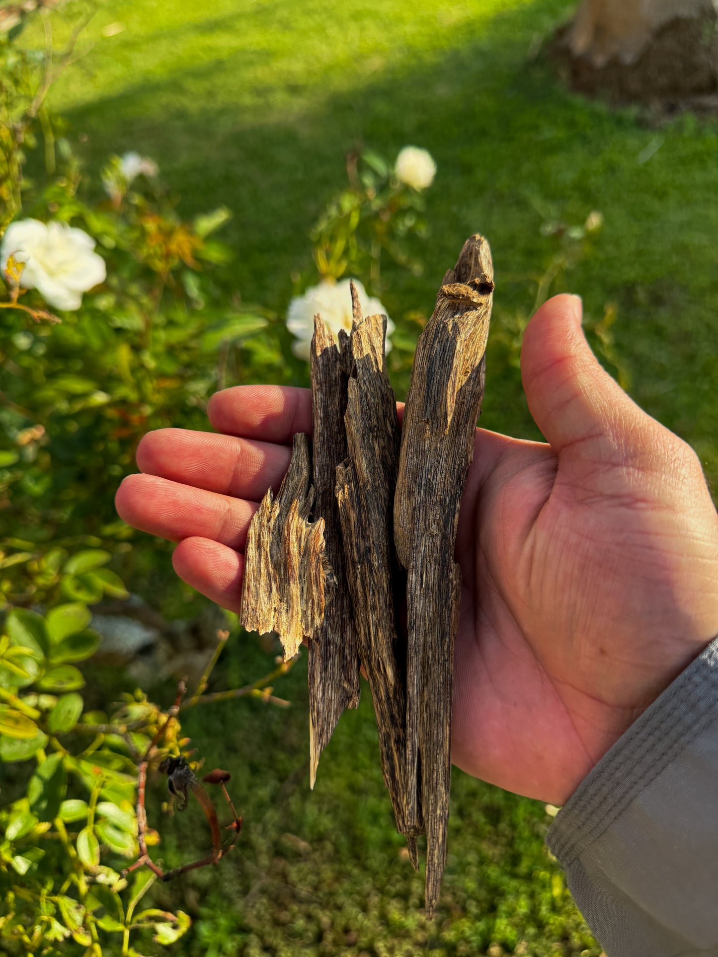 JURA AGARWOOD CHIPS AA( INDIA ) - 10 Grams