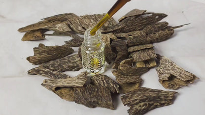ROYAL AMBERGRIS - Private Collection