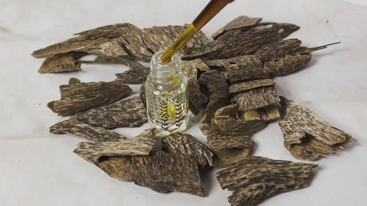 ROYAL AMBERGRIS - Private Collection